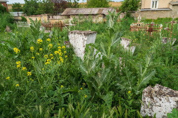 Old cemetery overgrown with grass. Old nameless gravestones in a churchyard in Europe