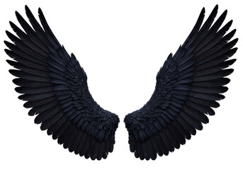 Isolated Majestic Black Angel Wings Open Wide
