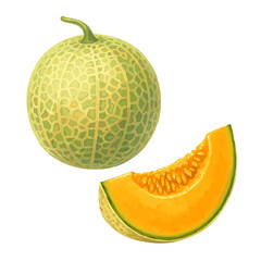 Cantaloupe Melon Whole and Sliced