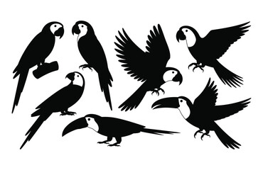 Collection of diverse bird silhouettes vector including parrots and toucans.