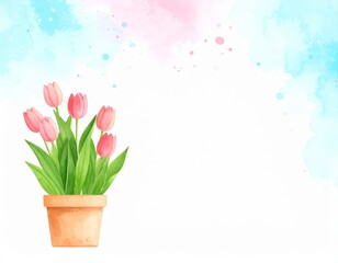 Obraz premium Vibrant pink tulips in a pot against calming blue background, spring still life