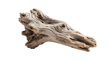 Transparent Driftwood PNG,  Intricate Light Beige Driftwood Piece Isolated on Transparent Background,  Detailed Texture of Weathered Wood with Natural Knots and Grain for Design Projects