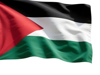 Obraz premium Palestine Flag