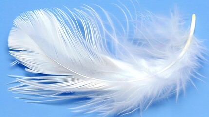 Elegant white feather floating gently against a calm pastel blue backdrop creating a soft and
