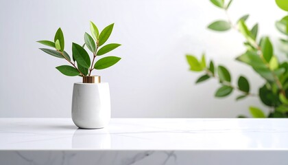 Polished stone surface with small ceramic vase and green leaves,