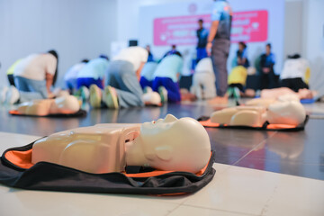 A person performs CPR chest compressions on a during a training session, highlighting essential life-saving techniques and emergency preparedness.