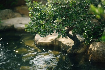 Tranquil landscape: a miniature green tree on rocky ground near a clear stream or river