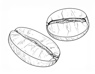 Detailed Outline Drawing Of Coffee Beans