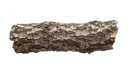 Transparent Tree Bark PNG,  High-Resolution Image of Cracked and Textured Tree Bark on a Transparent Background, Ideal for Design and Crafting Projects.