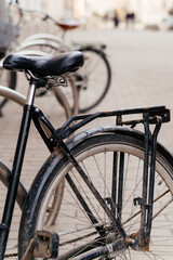 Obraz premium A close-up of an old, black bicycle with a worn-out frame and dusty wheels, parked among other bikes in an urban setting
