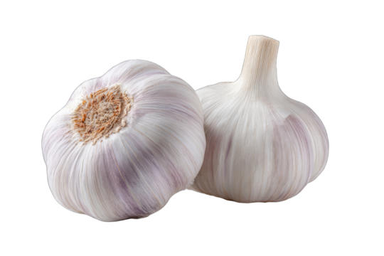 Two whole heads of garlic, close-up, white with purple highlights