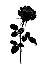 Black rose silhouette on white background for tattoo and vector design