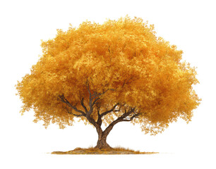 Golden autumn tree in nature vibrant leaves peaceful scene. Isolated on transparent background, png.