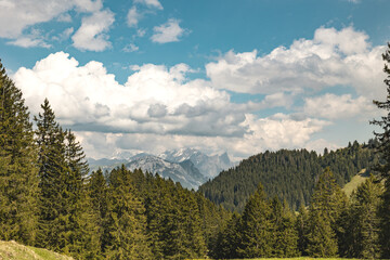 Trees, meadow, mountain in Switzerland, Canton St. Gallen, Swiss Alps, summer 2025. Sun and clouds,...