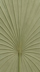 Textured palm leaf pattern