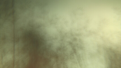 Shadows of forest trees art abstract background