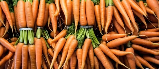 A vibrant bunch of fresh, organic carrots with green tops sits on a market stall