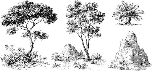 Hand drawn black and white engraving of trees and boulders
