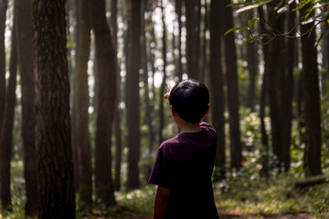 A boy is standing in a forest, looking up at the sky