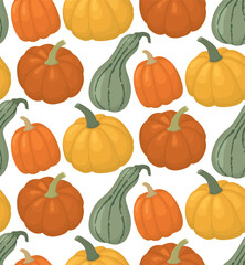Seamless background with colorful ripe pumpkins. Thanksgiving pattern with autumn vegetables 