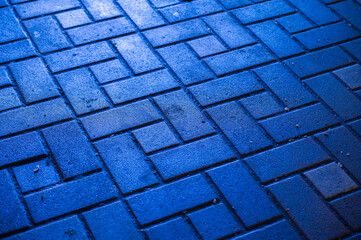 Colorful blue brick pavement showcasing a unique pattern in an urban setting during twilight hours...