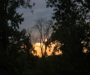 Sunset view through trees at a quiet park during early evening in late summer