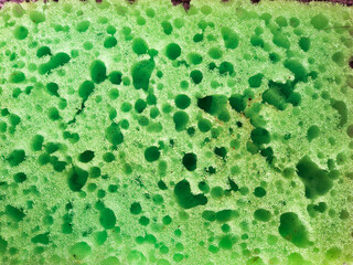 Bright green sponge textured surface showcasing an intricate pattern of bubbles and pores in natural lighting during the daytime