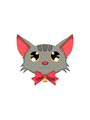 Grey cat with bell on his neck