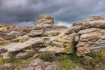 Layered gritstone formations with blooming heather under dramatic storm clouds at Kinder Scout in...