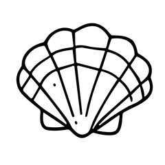 Doodle sketch vector illustration of a seashell on transparent background