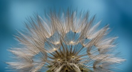 Macro shot of a delicate seed head against a clear blue sky, showcasing the intricate details of nature's design.
