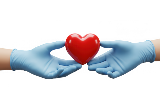 Two hands in blue surgical gloves gently holding a red heart on a transparent background