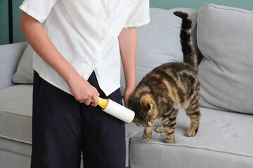 A child cleans his pants from cat hair with a clothes cleaning roller