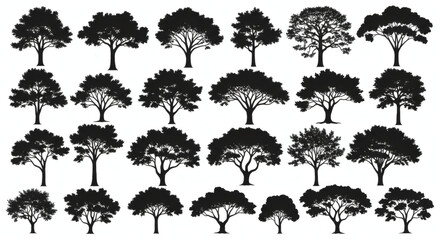 Tree Silhouettes Collection: A diverse collection of 24 unique tree silhouettes, perfect for design projects, ranging from broadleaf to narrowleaf trees.