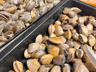 Clam seashell scallop at market