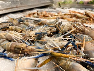 Bunch of fresh shrimp