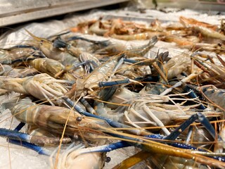 Close up fresh shrimps on ice