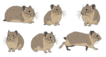 Pika in various poses showcasing movement and behavior  