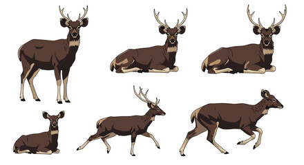 Sambar deer in various poses showcasing different body positions  