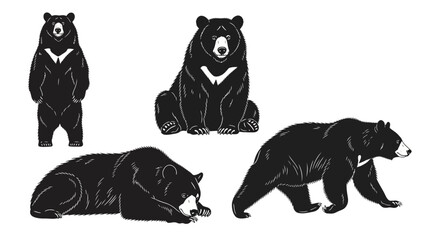 Asiatic black bears in different poses and movements  
