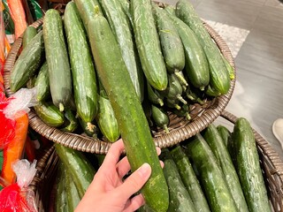 fresh green cucumber