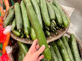 hand holding one piece of cucumber