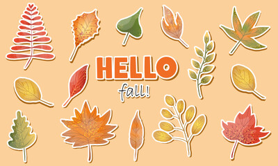Set of stickers with autumn leaves. Hello autumn sticker! Cute autumn leaves of willow, maple, sugar maple, rowan, oak with trendy textures for scrapbooking. Flat vector collection on orange isolated 