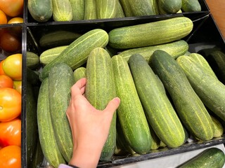 zucchini and cucumbers