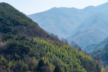 Obraz premium View of the mountain in early spring