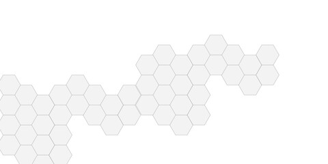 Fototapeta premium Abstract white hexagonal geometric background with shadow. Luxury white 3D futuristic honeycomb mosaic white background. Abstract white lines background. Vector Illustration.