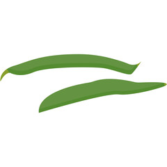 Indonesian Vegetables Illustration. sketch illustration of a collection of spice plants for traditional Indonesian Asian cooking spices