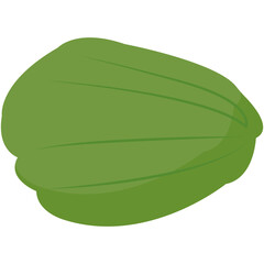 Indonesian Vegetables Illustration. sketch illustration of a collection of spice plants for traditional Indonesian Asian cooking spices