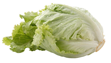 Fresh green iceberg lettuce with water droplets isolated on transparent background