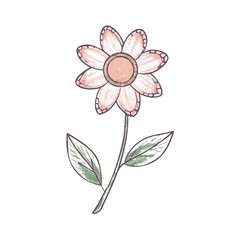 "Ultimate SVG Vector Design Bundle – Abstract, Geometric, Botanical, Mandala, Minimal, Vintage & Modern Elements for Cricut, Laser Cutting, Sublimation, and DIY Crafts"